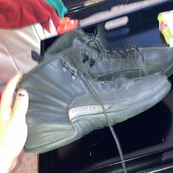 Air Jordan 12s (winterized) - Picture 5 of 6
